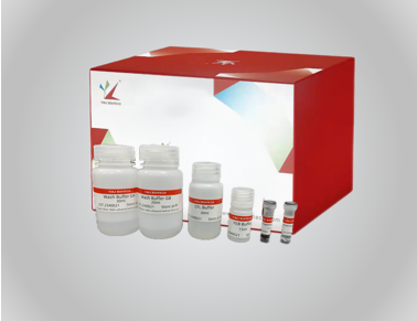 YALEPIC<sup>?</sup>MagEVO cfDNA Maxi Extraction Kit